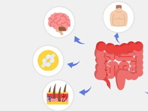 Wpływ mikrobiomu jelitowego na zdrowie: rola połączeń jelitowo-narządowych