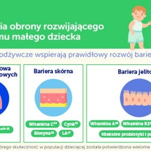 Pierwsza linia obrony