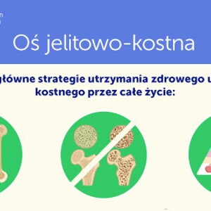 infographic_Os_jelito_kosc