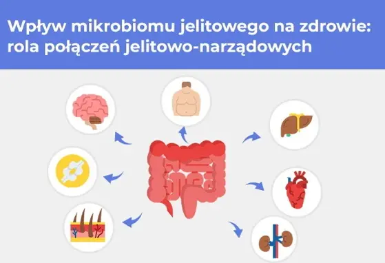 Wpływ mikrobiomu jelitowego na zdrowie: rola połączeń jelitowo-narządowych