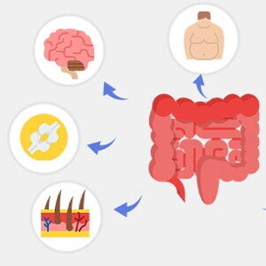 Wpływ mikrobiomu jelitowego na zdrowie: rola połączeń jelitowo-narządowych