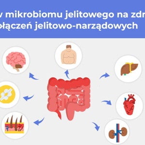Wpływ mikrobiomu jelitowego na zdrowie: rola połączeń jelitowo-narządowych