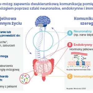 Oś mikrobiota-jelito-mózg