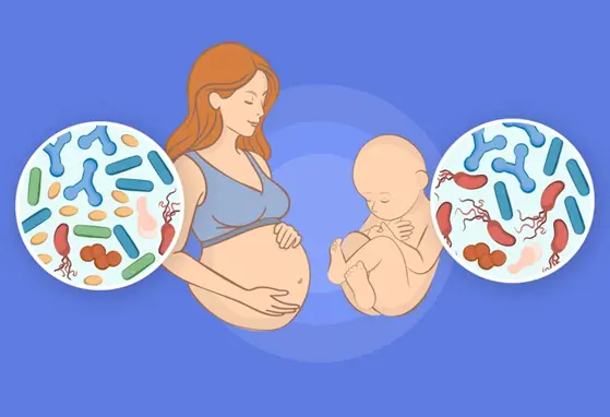 NNI_teaser_image_Mikrobiota_Szajewska