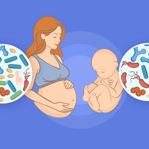 NNI_teaser_image_Mikrobiota_Szajewska