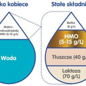 hmo_mechanizmy_dzialania_zdjecie_nni_polska